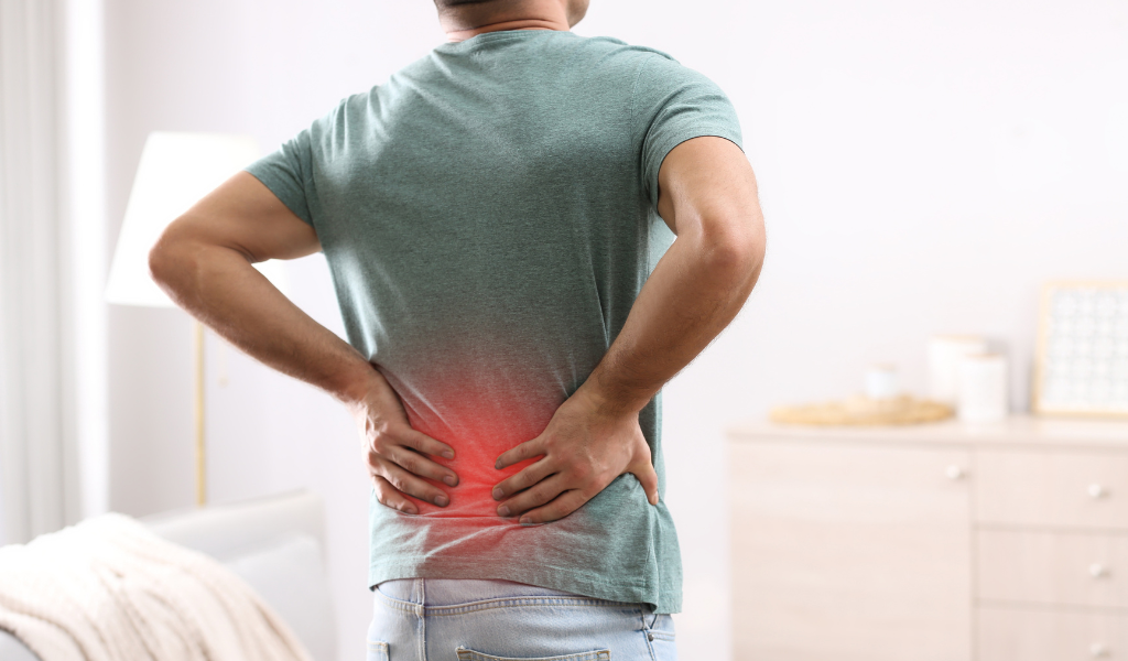 Back Pain | Aloha Wellness - Chiropractic And Nutrition January 8, 2026 Back pain | aloha wellness - chiropractic and nutrition | back pain